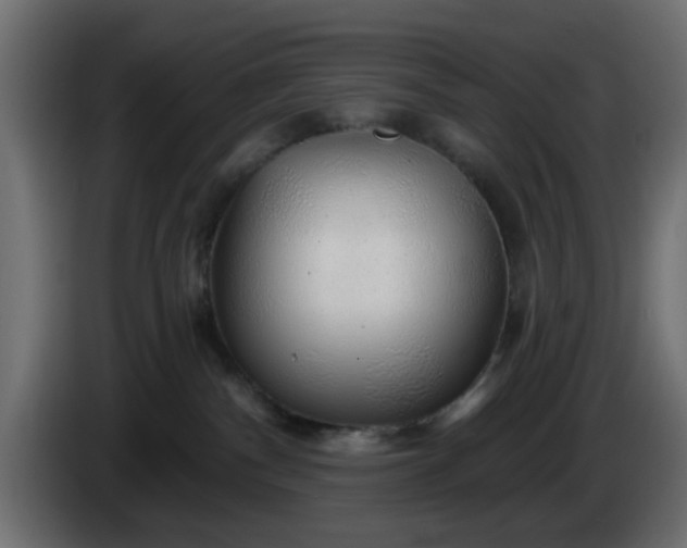 X0000086320140200704131702