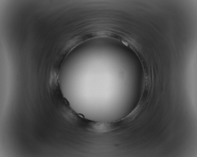 X0000086320142200704131702