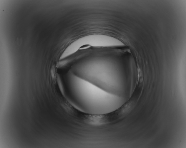 X0000086320143200704131702