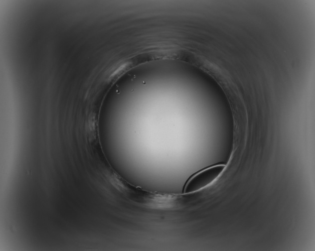 X0000086320144200704131702