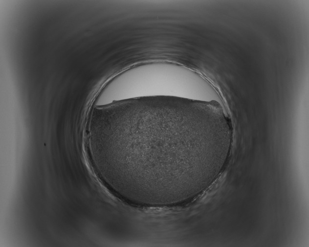 X0000086320145200704131702