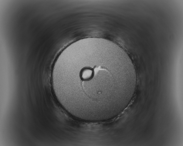 X0000086320146200704131702