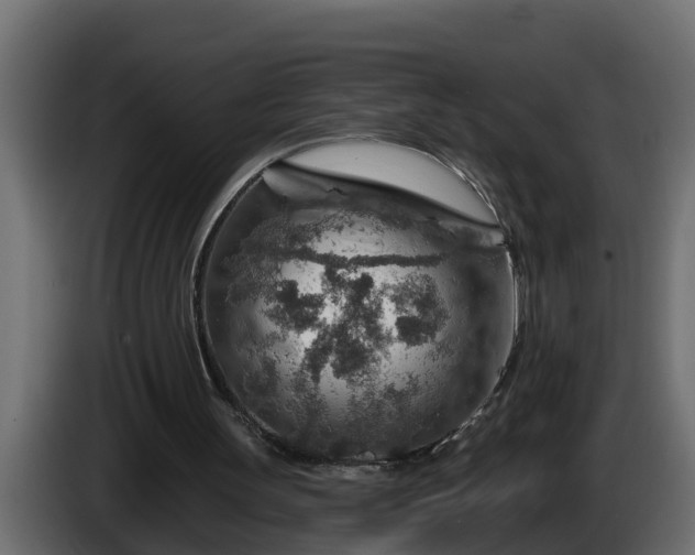 X0000086320147200704131702