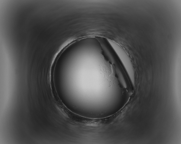 X0000086320148200704131702