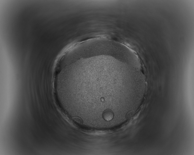 X0000086320149200704131702