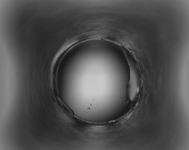 X0000086320150200704131702