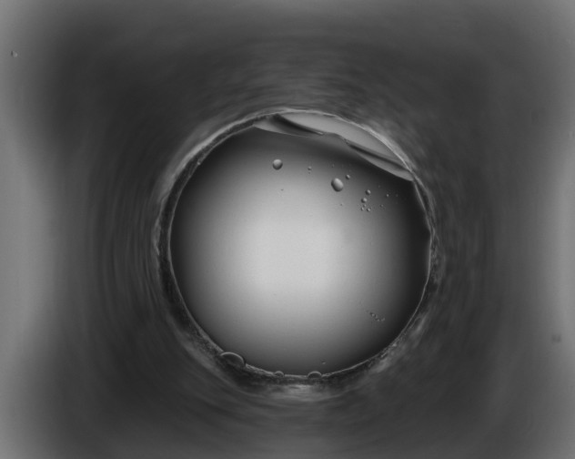 X0000086320151200704131702