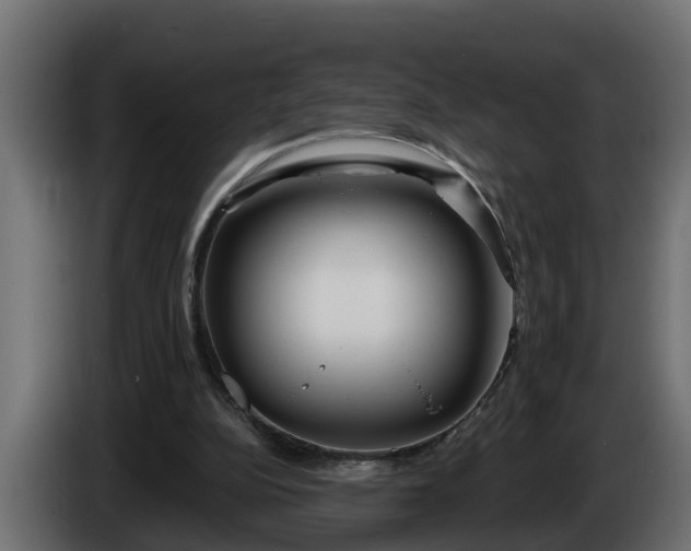 X0000086320152200704131702