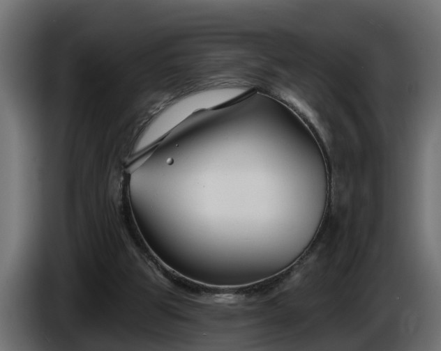 X0000086320153200704131702