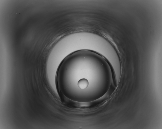 X0000086320154200704131702