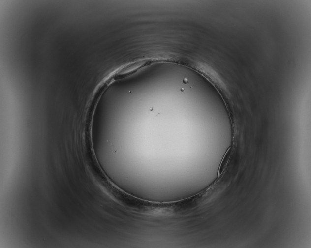 X0000086320155200704131702