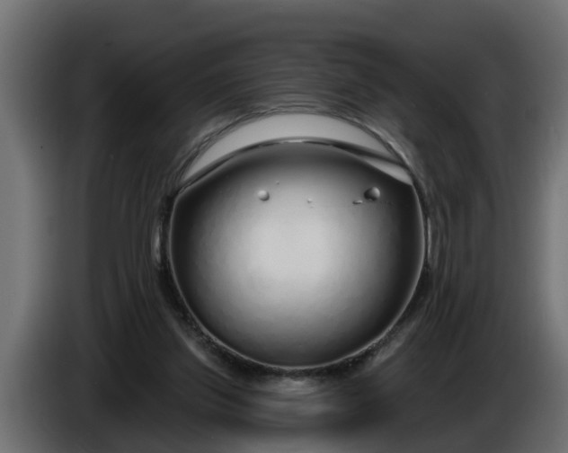 X0000086320157200704131702