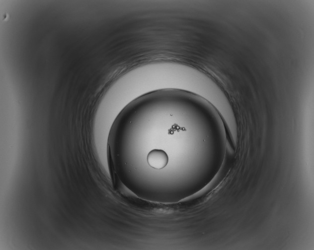 X0000086320158200704131702