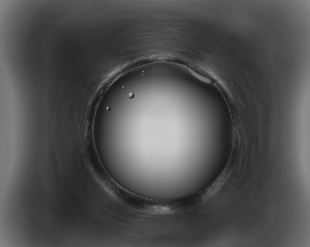 X0000086320159200704131702