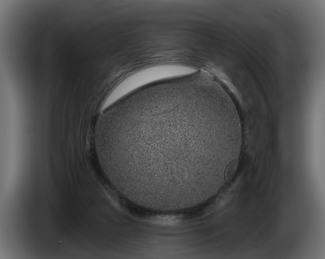 X0000086320161200704131702