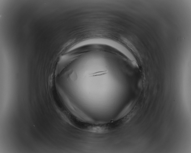 X0000086320163200704131702