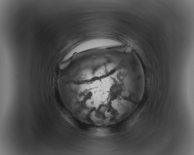 X0000086320165200704131702