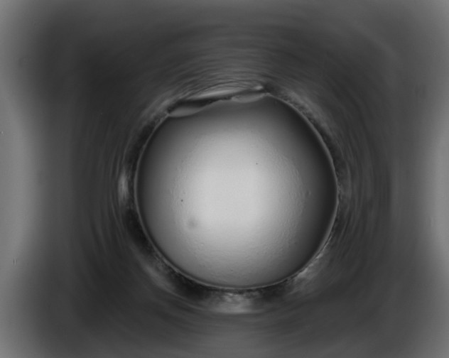 X0000086320166200704131702