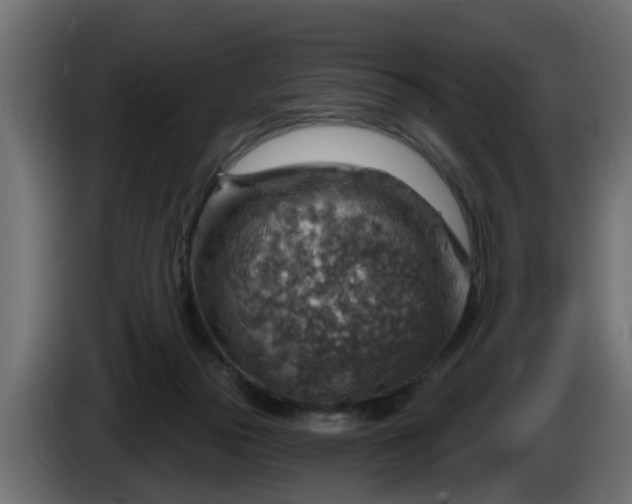 X0000086320169200704131702