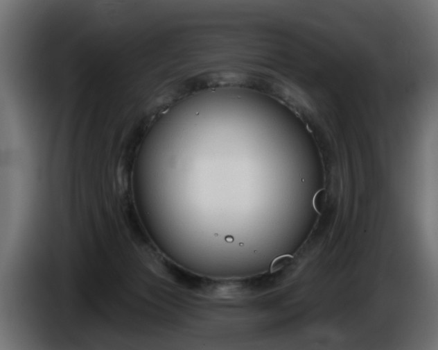 X0000086320173200704131702