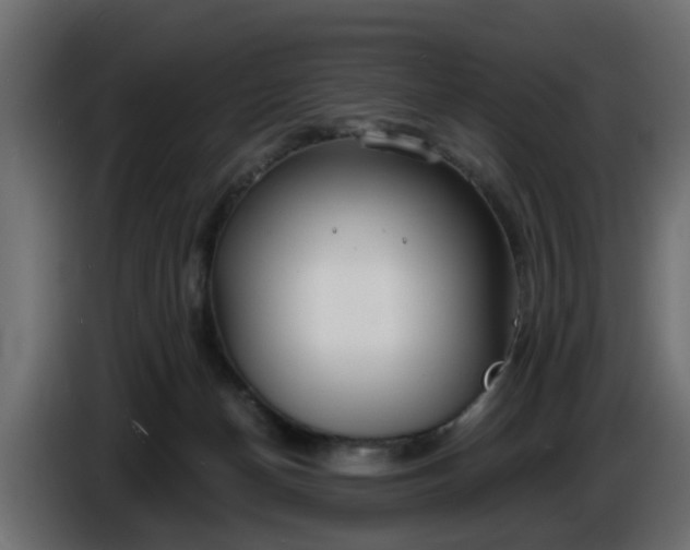 X0000086320174200704131702