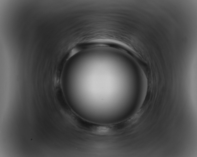 X0000086320176200704131702