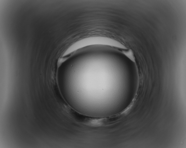 X0000086320178200704131702