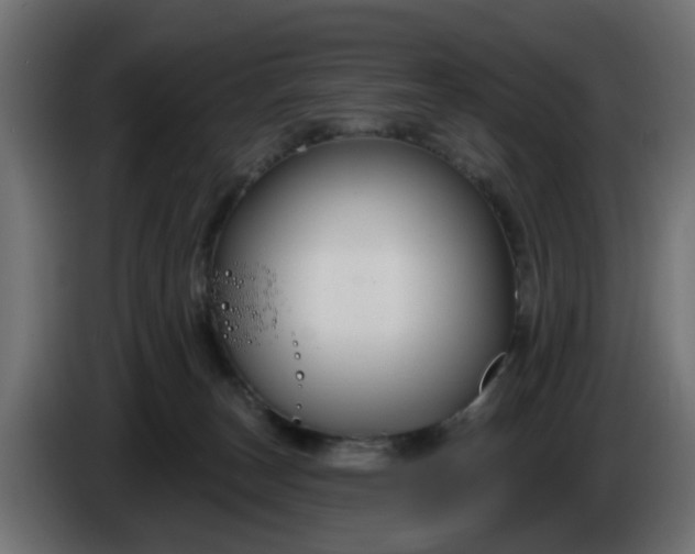 X0000086320179200704131702