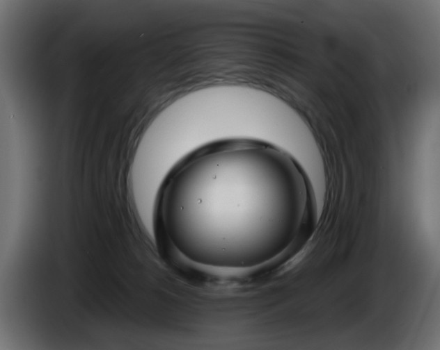 X0000086320180200704131702