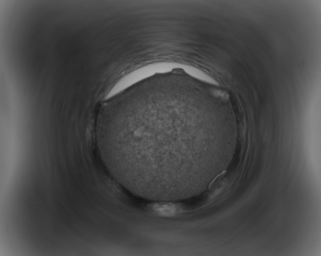 X0000086320181200704131702