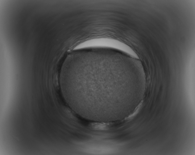 X0000086320182200704131702