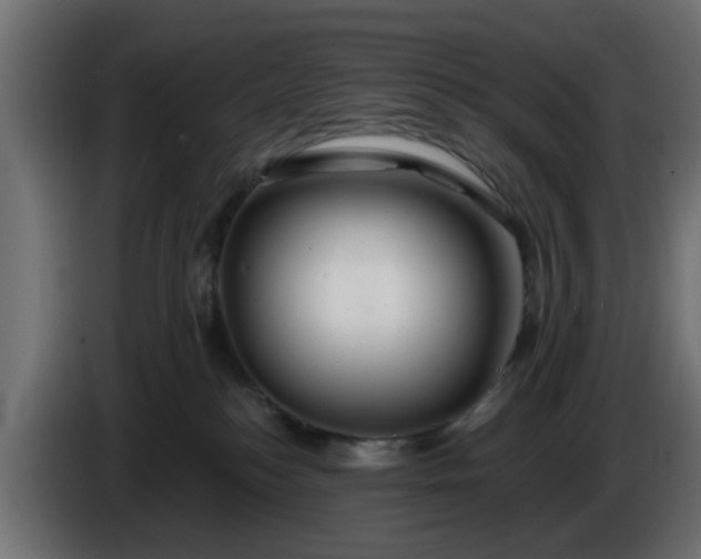 X0000086320184200704131702