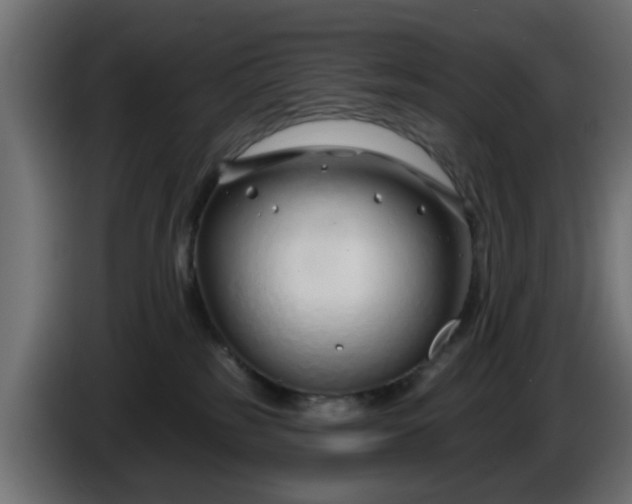 X0000086320185200704131702