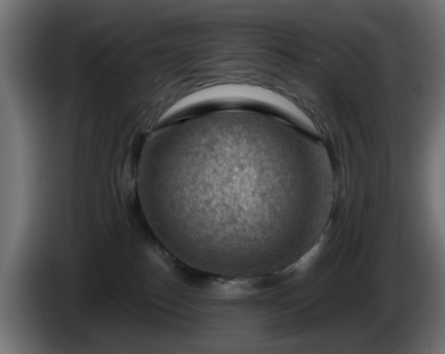 X0000086320186200704131702