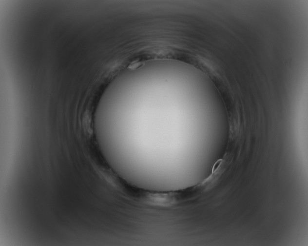 X0000086320187200704131702