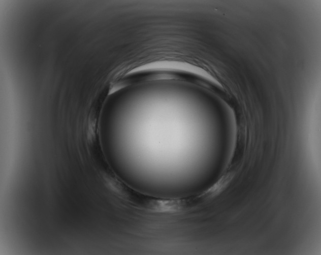 X0000086320188200704131702