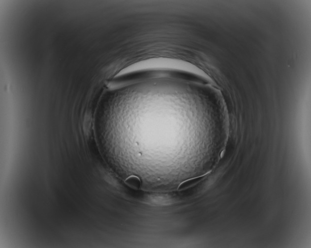 X0000086320189200704131702