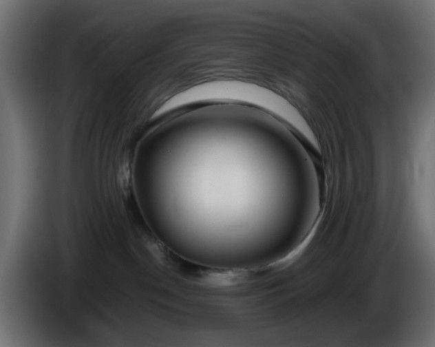 X0000086320190200704131702