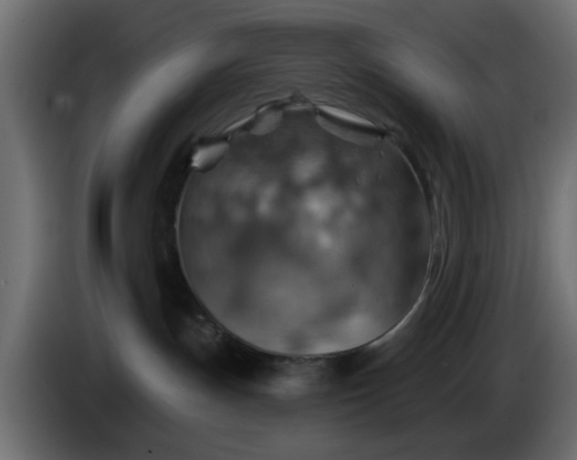 X0000086320191200704131702