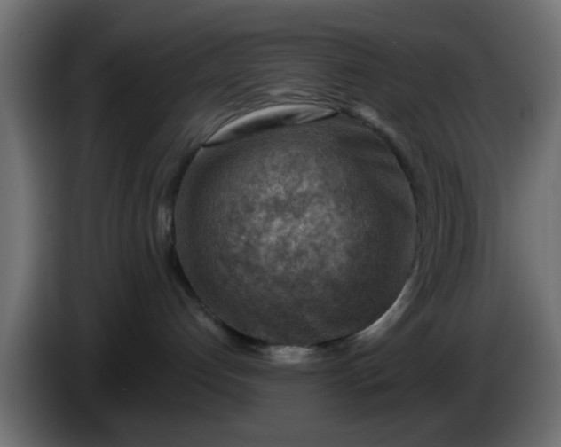 X0000086320192200704131702