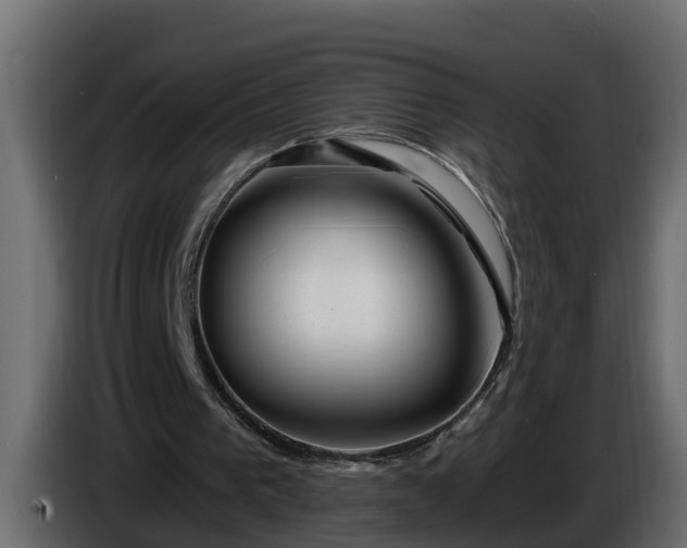 X0000086320193200704131701