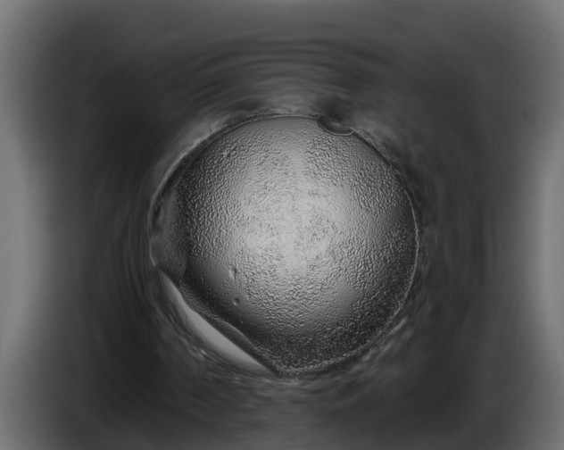 X0000086320194200704131701