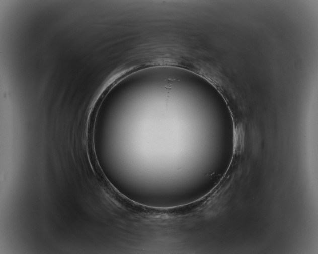 X0000086320195200704131701