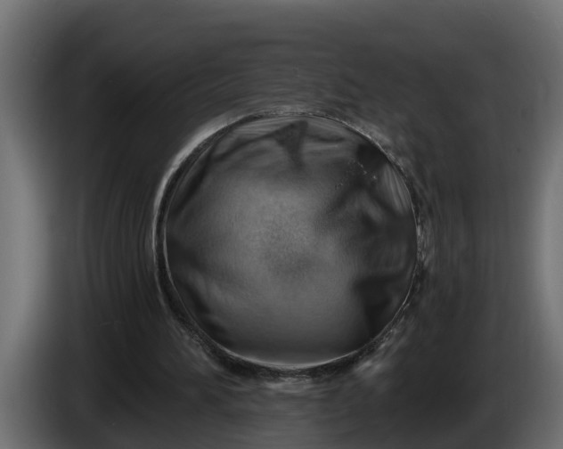 X0000086320196200704131701