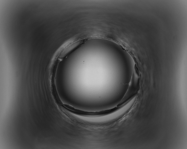 X0000086320197200704131701