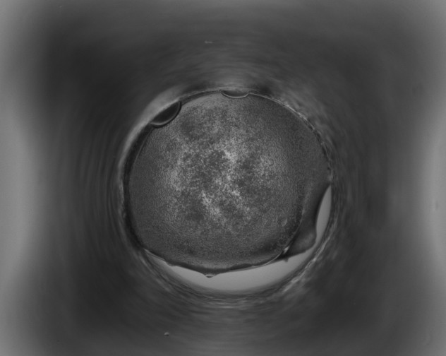 X0000086320198200704131701