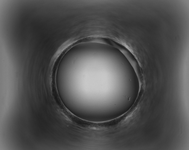 X0000086320199200704131701