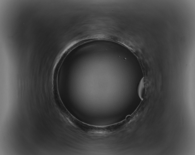 X0000086320200200704131701