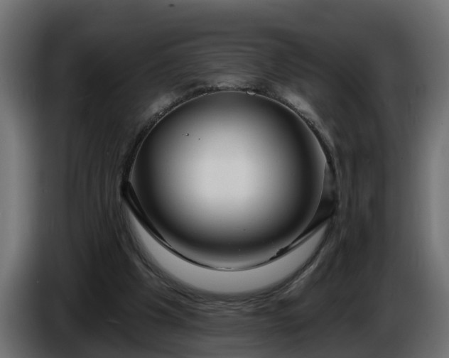 X0000086320201200704131701