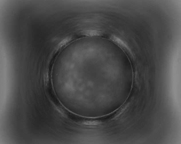 X0000086320202200704131701